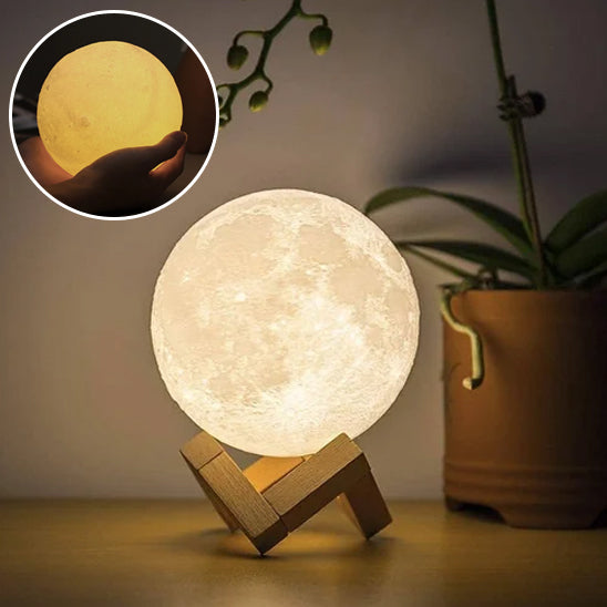 lampe zen en forme de lune lumière blanche ou jaune socle en bois table plante