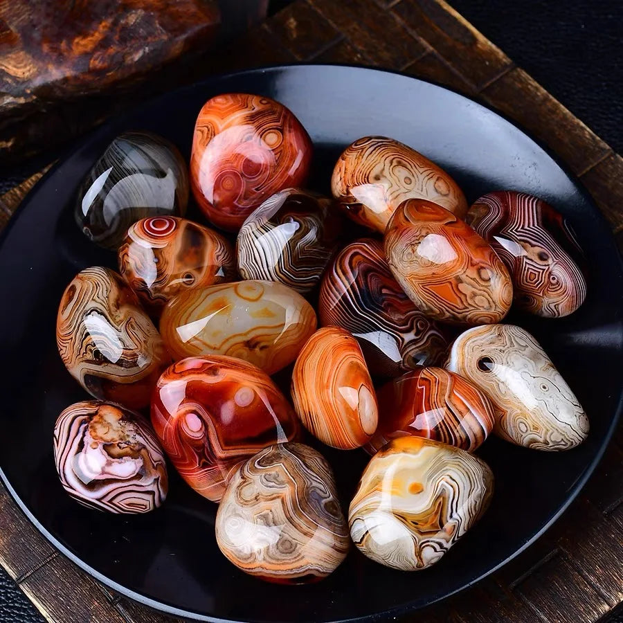 pierres-naturelles-coquillage